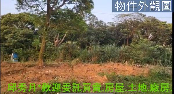 新北三芝農地-9