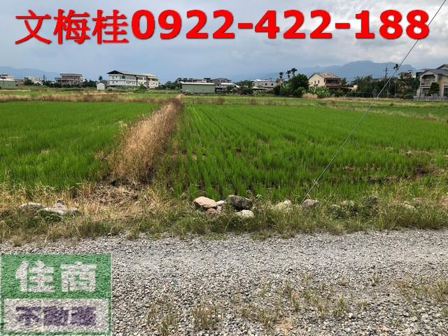 宜蘭宜蘭市農地-1