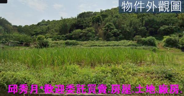 新北三芝農地-2