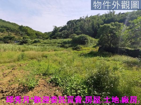 新北三芝農地-6