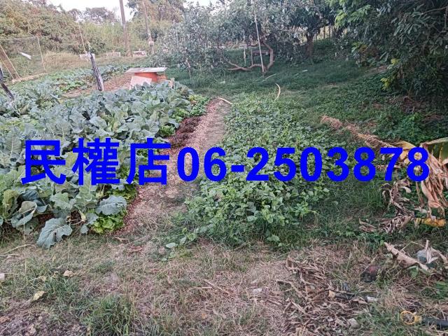 台南官田工業地-5