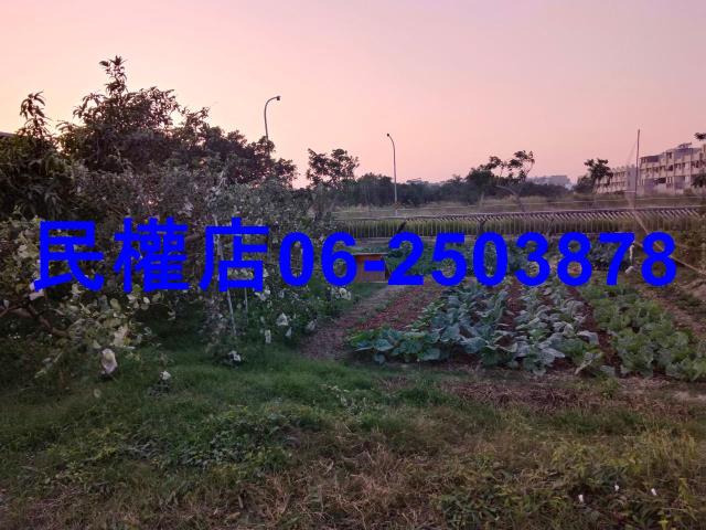 台南官田工業地-7