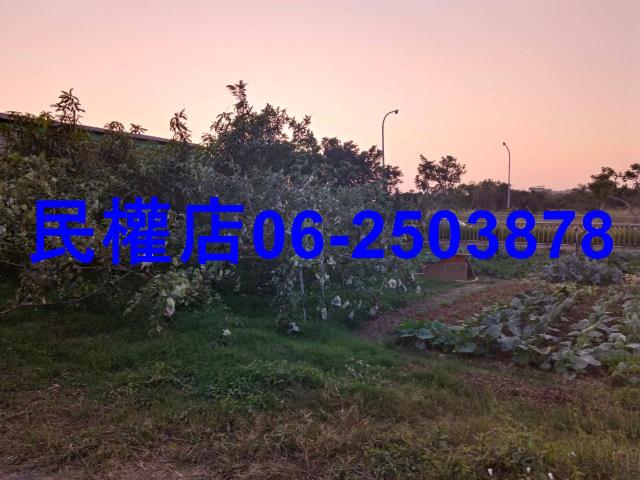 台南官田工業地-8