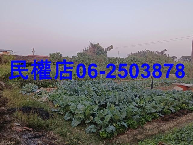 台南官田工業地-9