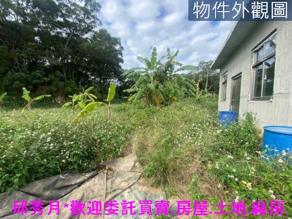 新北淡水農地-3