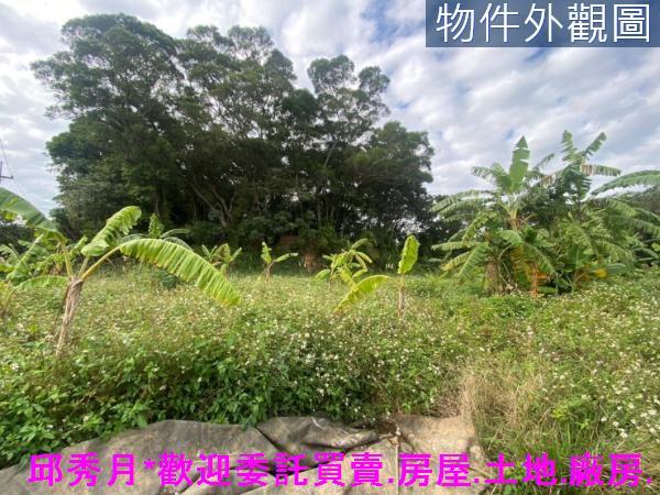 新北淡水農地-5