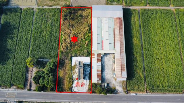 嘉義新港農地-7