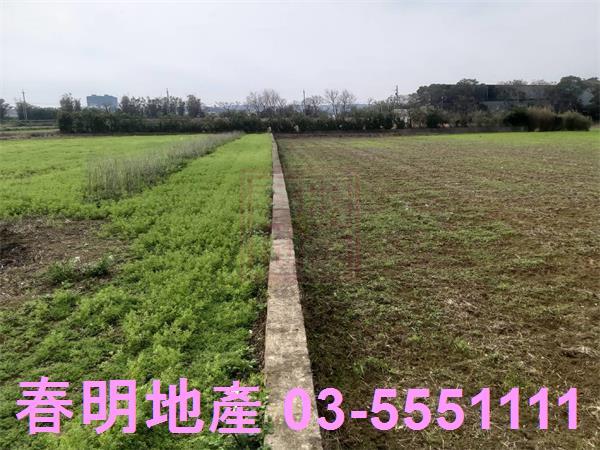新竹新豐農地-3