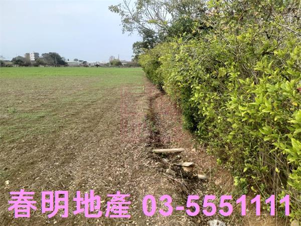 新竹新豐農地-4