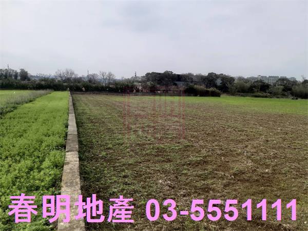 新竹新豐農地-5
