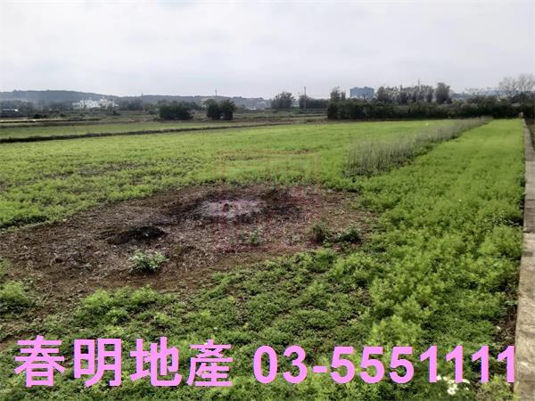 新竹新豐農地-6