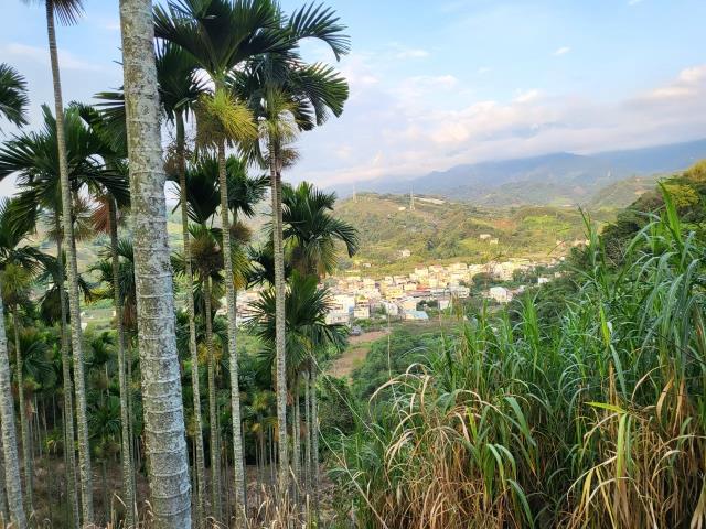 台中東勢農地-4