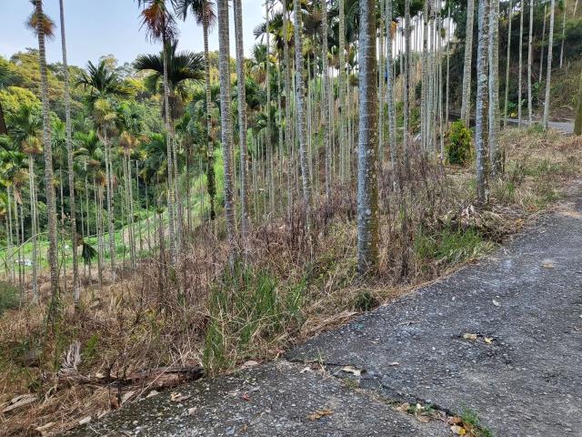 台中東勢農地-5