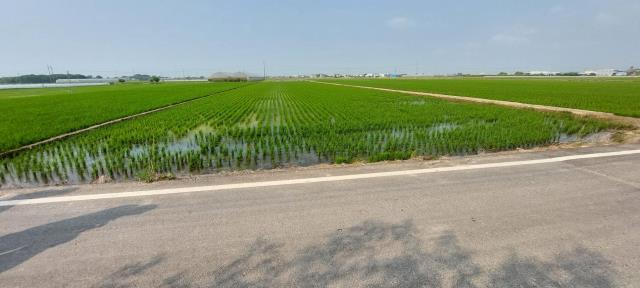 嘉義農地-6