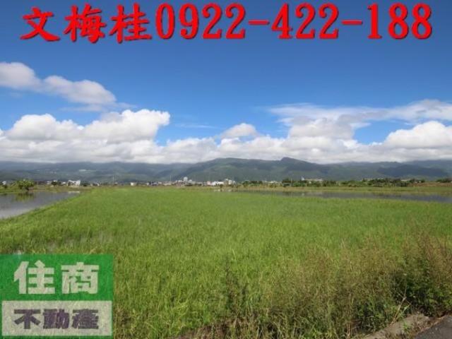 宜蘭礁溪農地-3