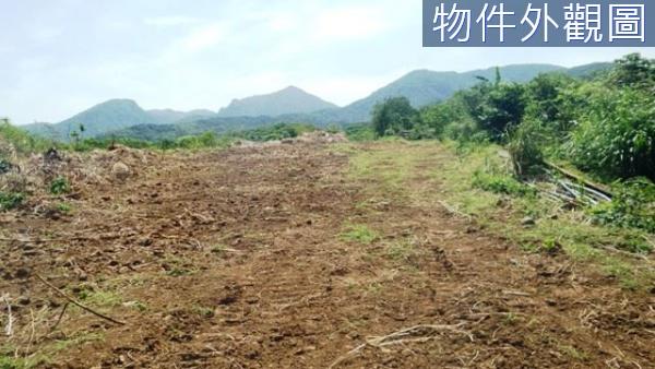 新北農地-10