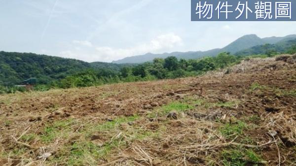 新北農地-14