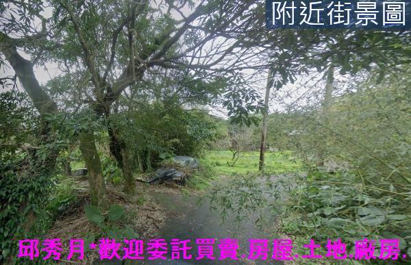 新北三芝農地-4