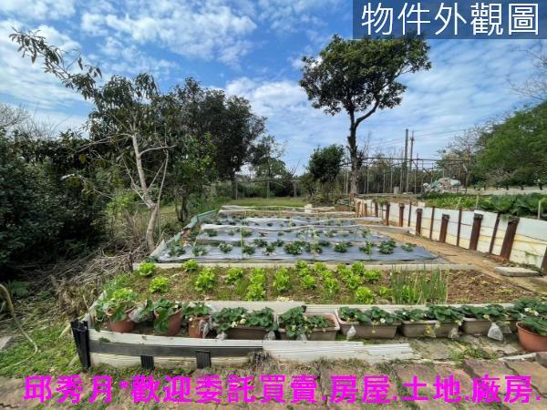 新北三芝農地-1