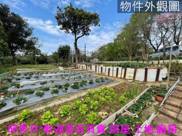 新北三芝農地-3