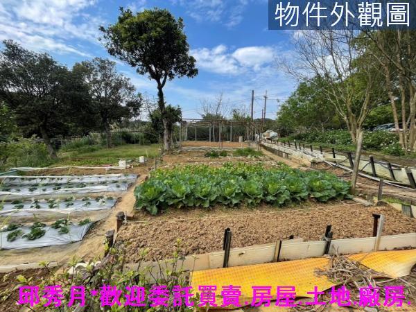 新北三芝農地-4