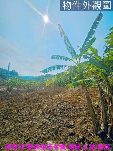 新北農地-3