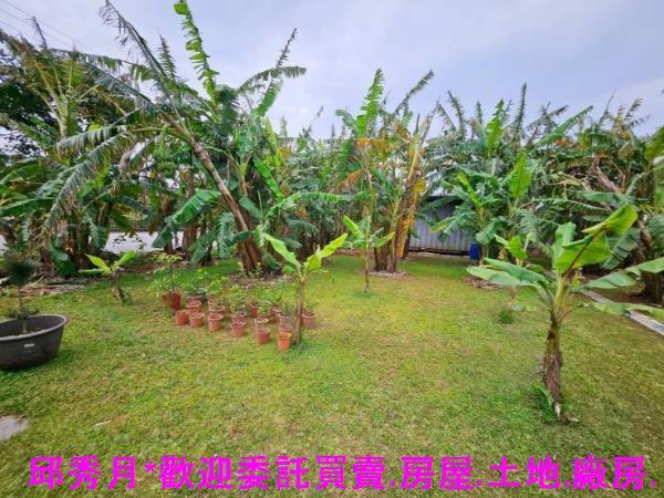 新北三芝農地-3