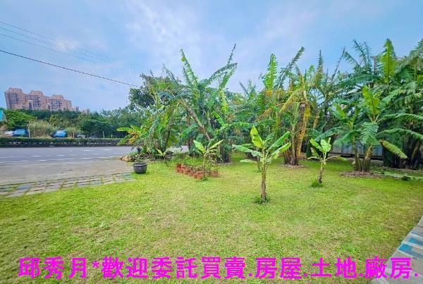 新北三芝農地-4