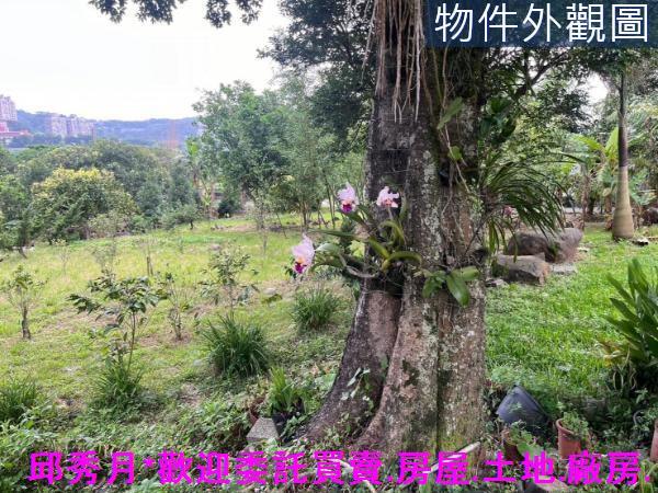 新北淡水農地-10