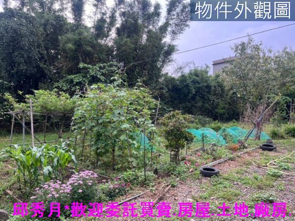 新北淡水農地-4