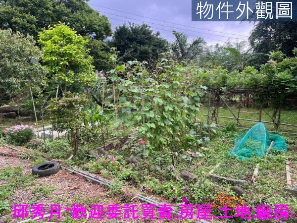 新北淡水農地-6