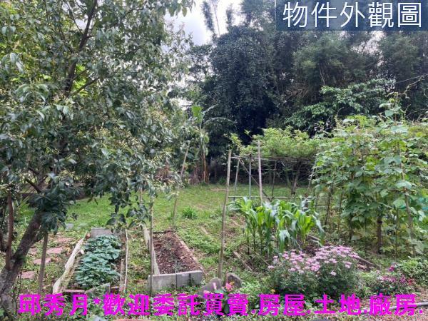 新北淡水農地-7