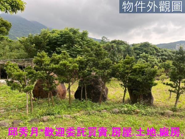 新北淡水農地-8