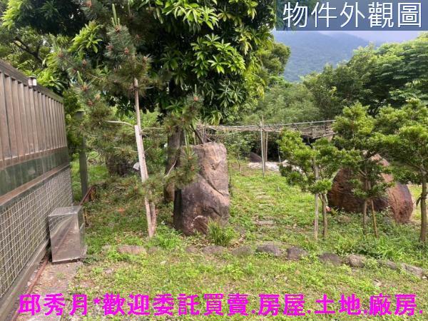 新北淡水農地-9