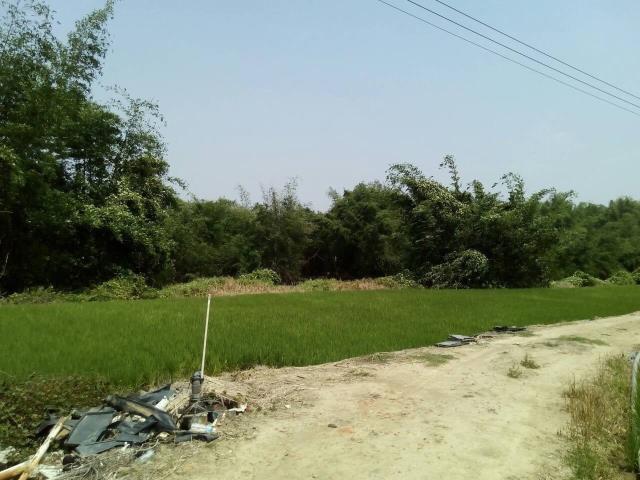 嘉義大林農地-2