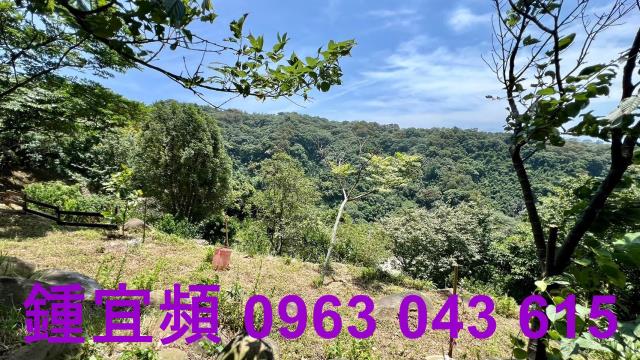 新竹芎林農地-10