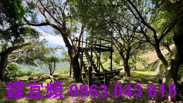 新竹芎林農地-11