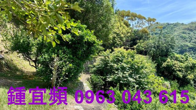 新竹芎林農地-14