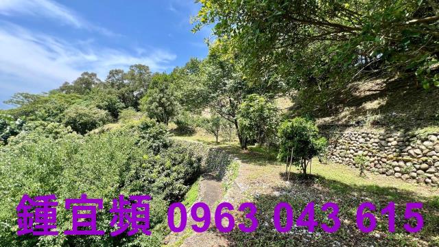 新竹芎林農地-15