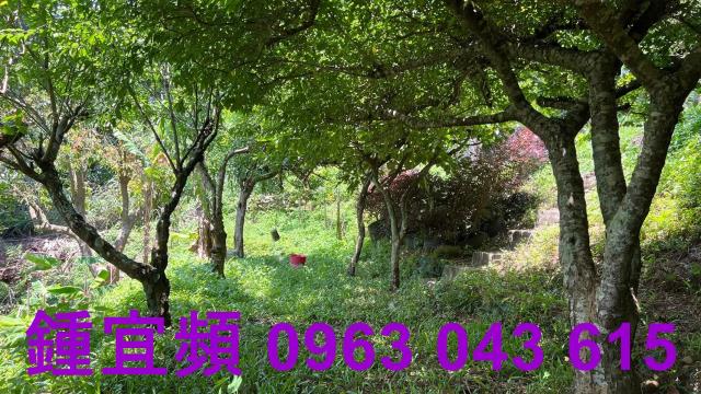 新竹芎林農地-2