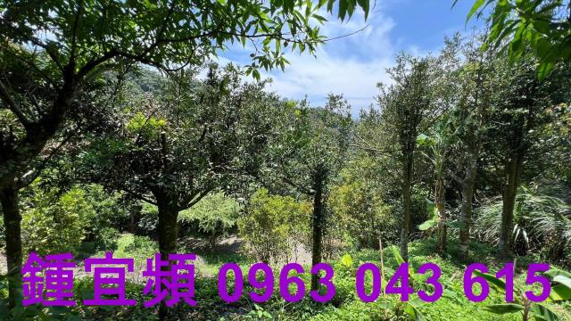 新竹芎林農地-3