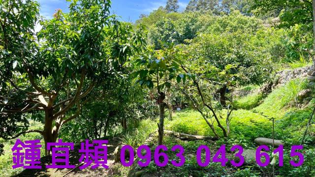 新竹芎林農地-7