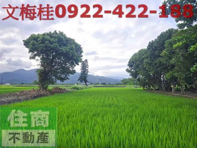 宜蘭三星農地-10