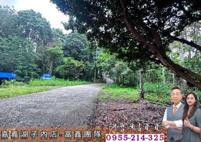 嘉義農地-1