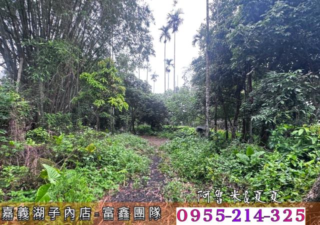 嘉義農地-2