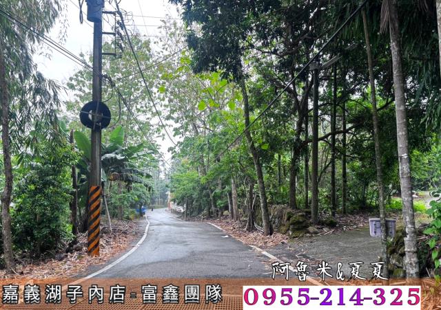 嘉義農地-3