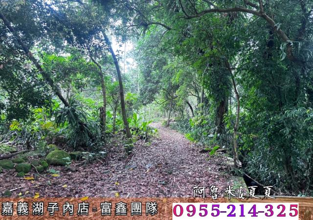 嘉義農地-4