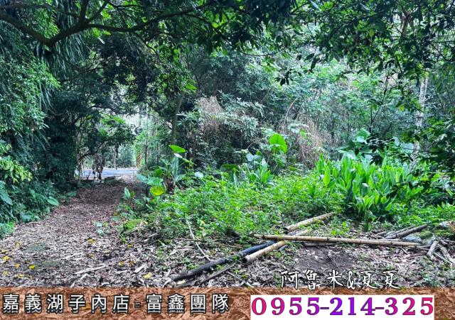 嘉義農地-5