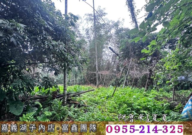 嘉義農地-6