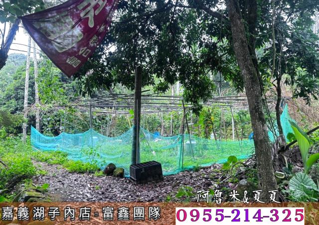 嘉義農地-7